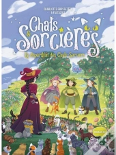 Chats & Sorcières : La Disparition Des Chats-Sorciers