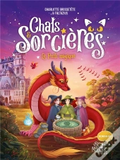 Chats & Sorcières Tome 3 : Le Puits Magique