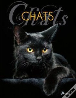 Capa do artigo Chats