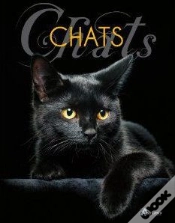 Capa do artigo Chats