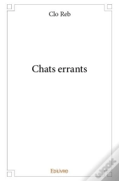 Chats Errants
