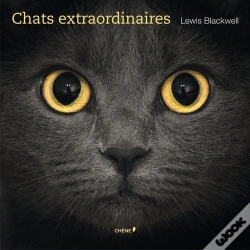 Capa do artigo Chats Extraordinaires