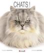Chats - Preview