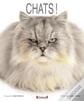 Chats