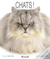 Capa do artigo Chats