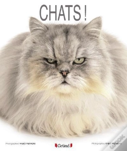 Capa do artigo Chats