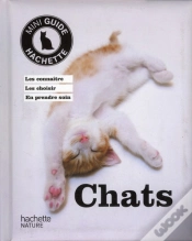 Capa do artigo Chats