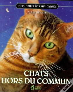 Capa do artigo Chats Hors Du Commun