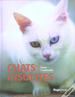 Capa do artigo Chats Insolites