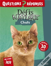 Capa do artigo Chats