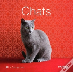 Capa do artigo Chats - La Collection
