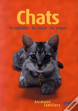 Capa do artigo Chats ; Nouvelle Edition