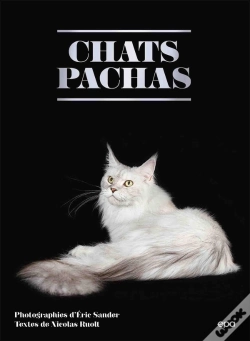 Capa do artigo Chats Pachas