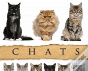 Capa do artigo Chats