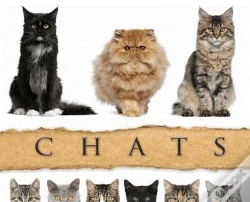 Capa do artigo Chats