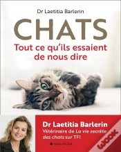 Capa do artigo Chats - Tout Ce Qu