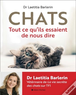 Capa do artigo Chats - Tout Ce Qu'Ils Essaient De Nous Dire