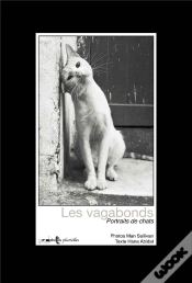 Capa do artigo Chats Vagabonds : Portraits De Chats