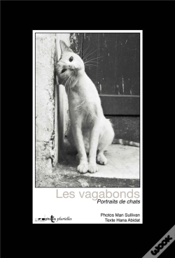 Capa do artigo Chats Vagabonds : Portraits De Chats