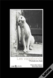 Chats Vagabonds : Portraits De Chats