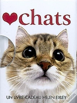 Capa do artigo Chats