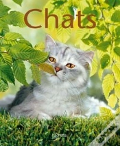 Capa do artigo Chats