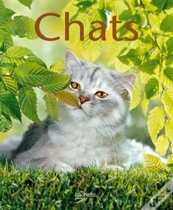 Capa do artigo Chats