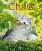 Chats - Preview