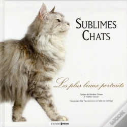 Capa do artigo Chats