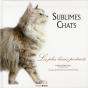 Chats - Preview
