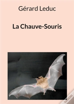 Capa do artigo Chauve Souris