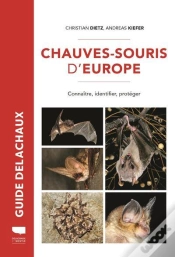 Capa do artigo Chauves-Souris D