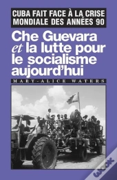 Che Guevara Et La Lutte Pour Le Socialisme Aujourd'Hui
