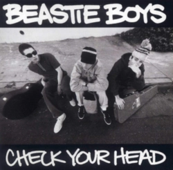 Capa do artigo Check Your Head - CD