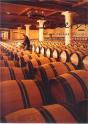 Cheers! Wine Cellar Design /Anglais - Preview