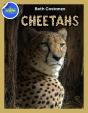 Cheetah Activity Workbook Ages 4-8 - Preview