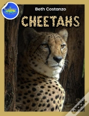 Capa do artigo Cheetah Activity Workbook Ages 4-8