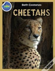 Cheetah Activity Workbook Ages 4-8
