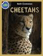 Cheetah Activity Workbook Ages 4-8 - Preview