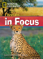 Cheetah Chase!2200 Headwords - Preview