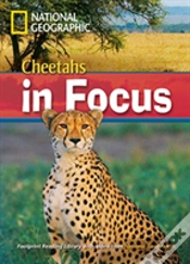 Capa do artigo Cheetah Chase!2200 Headwords
