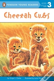 Capa do artigo Cheetah Cubs