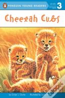 Cheetah Cubs
