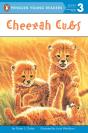 Cheetah Cubs - Preview