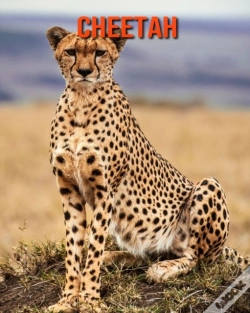 Capa do artigo Cheetah