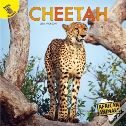 Capa do artigo Cheetah