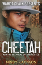 Cheetah - Preview