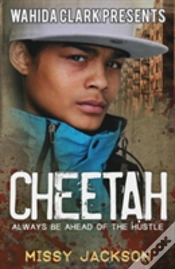 Capa do artigo Cheetah