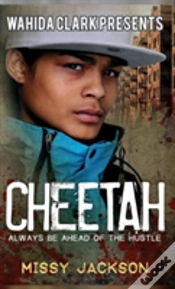 Capa do artigo Cheetah