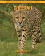 Cheetah - Preview